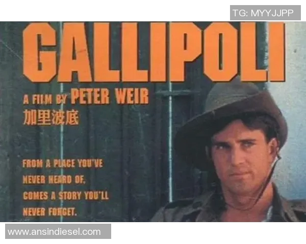 吉布森的传奇人生与艺术成就探秘：从电影到文学的多元影响力分析