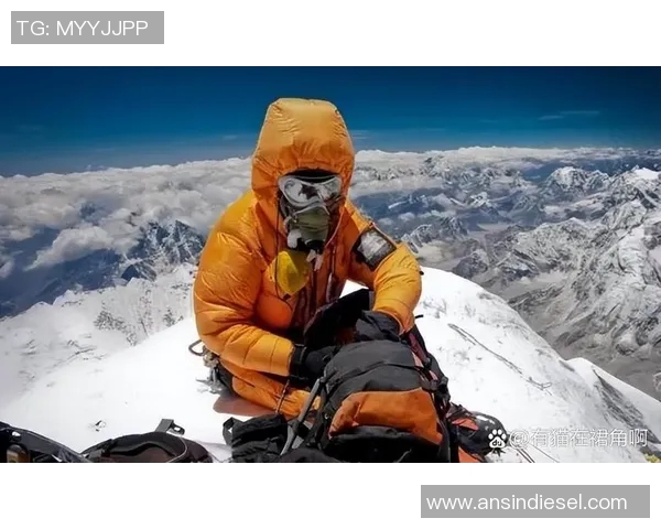 史鸿飞的传奇人生与事业成就探索之旅